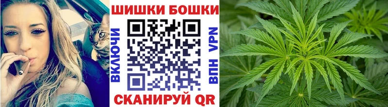 Бошки Шишки конопля Камышлов